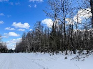 7 Log Lodge Rd, Winter, WI 54896