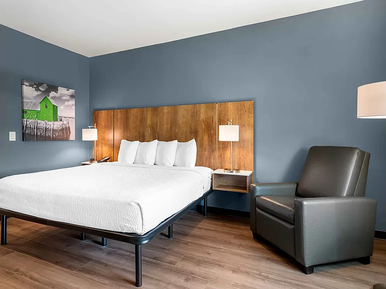 Studio Suite - 1 King Bed
