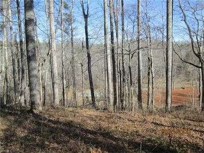 47 Misty Valley Pkwy, Arden, NC, 28704