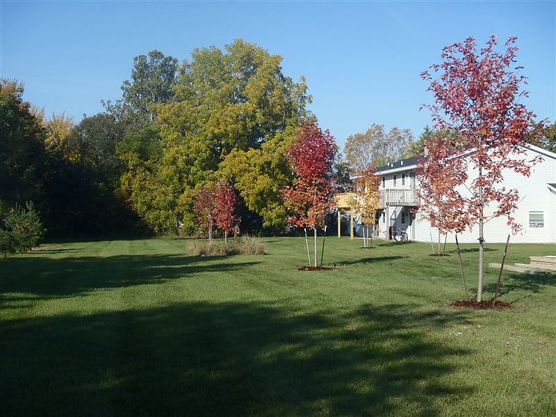 60th Backyard b