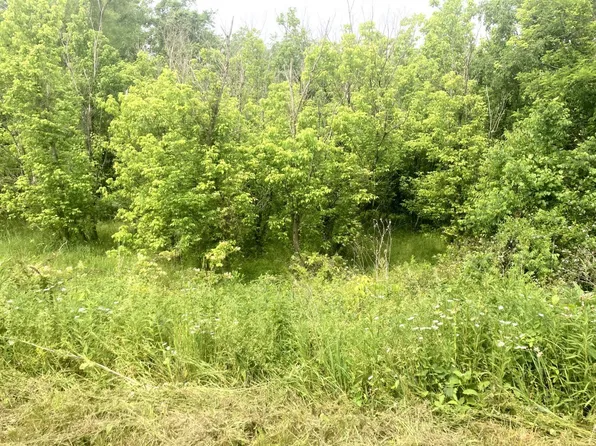 Wood Rd, Albany, OH 45710