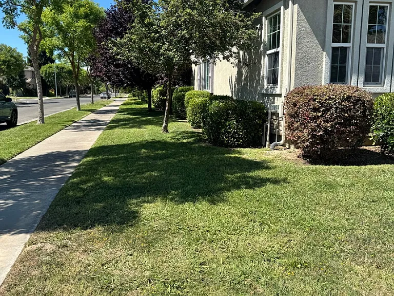 397 Noble Dr — Photo 3