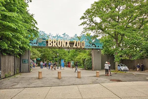 Rented by Bruma Realty LLC | media 7