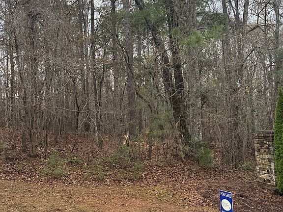 2nd image of 207 Forest Pointe Dr