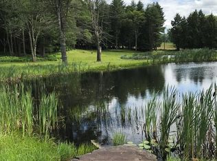 596 Perry Rd #72, Swan Lake, NY 12783