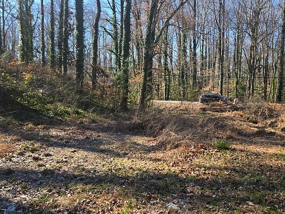 4th image of 5674 Woodland Dr