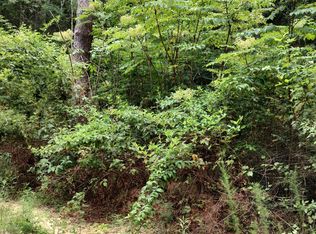 N Lakeshore Dr Lot 160, Lumberton, MS 39455