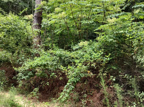 N Lakeshore Dr Lot 160, Lumberton, MS 39455