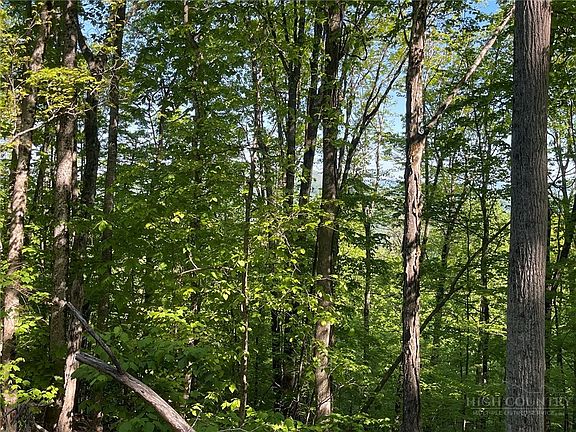 4th image of 926 Pine Ridge Road