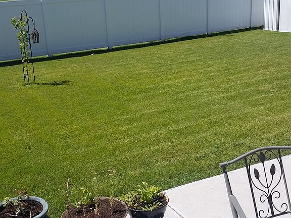 Backyard with shed and patio