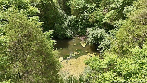 1st image of  E Turkey Fork Road