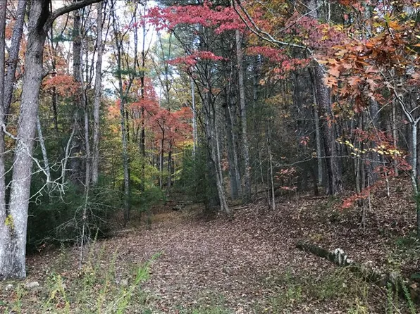 Star Creek Rd, Morganton, GA 30560