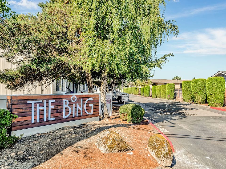 The Bing Entry