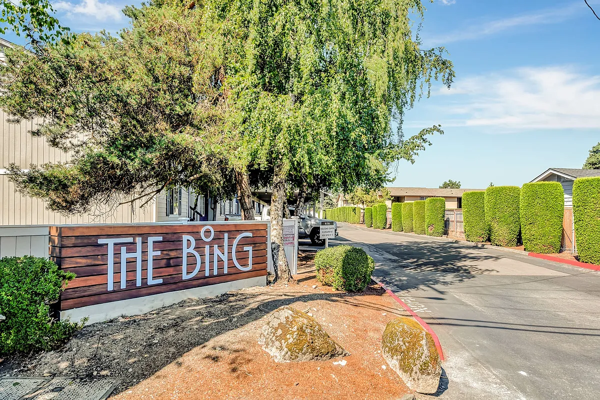 The Bing Entry - The Bing