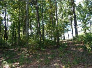 7349 Falcon Bluff Dr, Signal Mountain, TN 37377