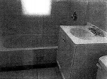 4th image of 4524 Plum Orchard St