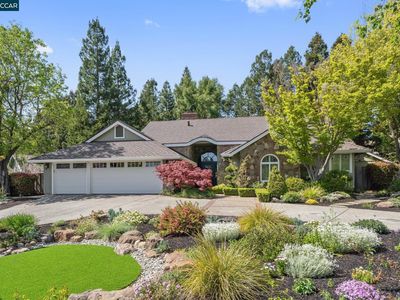 3000 Golden Meadow Dr, Alamo, CA, 94507