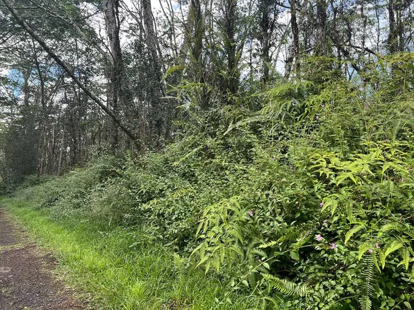 Plumeria Rd Lot 167, Pahoa, HI 96778