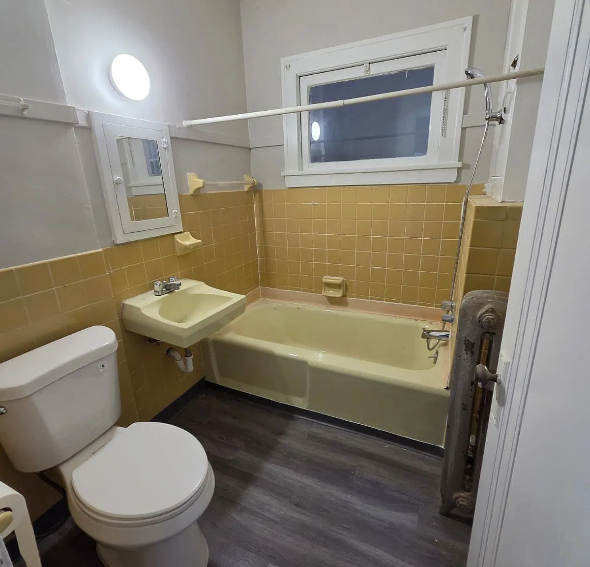 1 bed, $795 — Photo 3