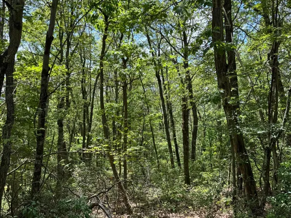Pond Creek Rd, White Haven, PA 18661