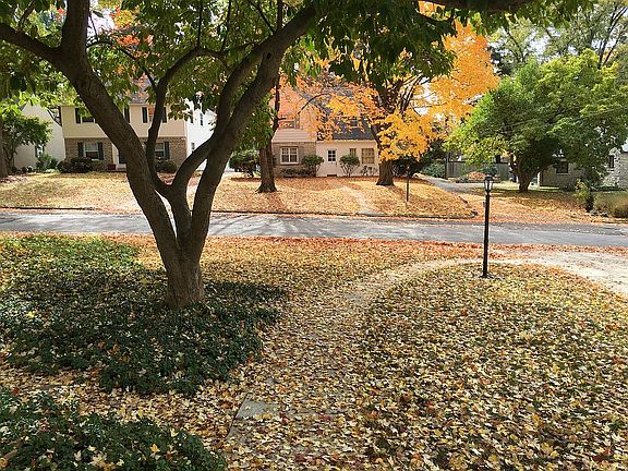 View from front porch