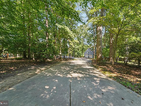 4th image of 4517 Hemlock Cone Way
