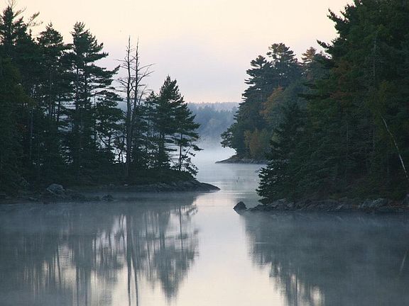 View of the Salt Pond through the cut behind our home