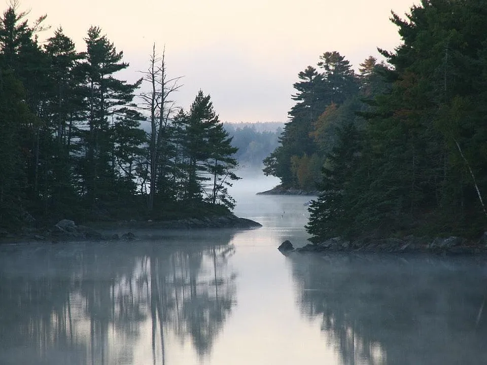 View of the Salt Pond through the cut behind our home