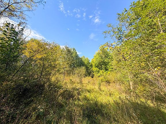 3rd image of 0 Timber Run