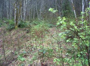 444 Dodge Rd #46, Morton, WA 98356