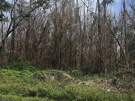 2nd image of Malama St Lot 35