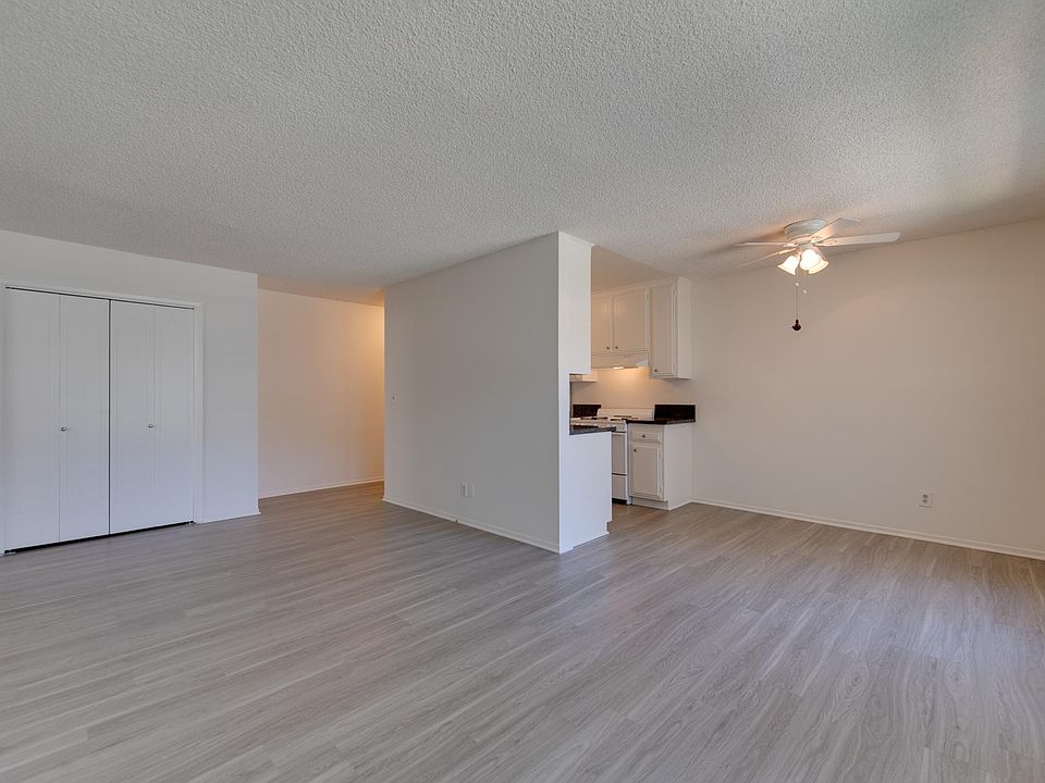 MASSIVE KITCHEN AND LIVING ROOM