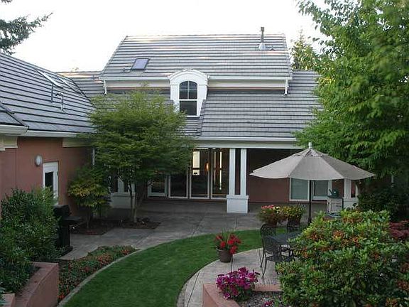 Back View
