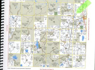 Tbd Plumtree Rd, Republic, MI 49815