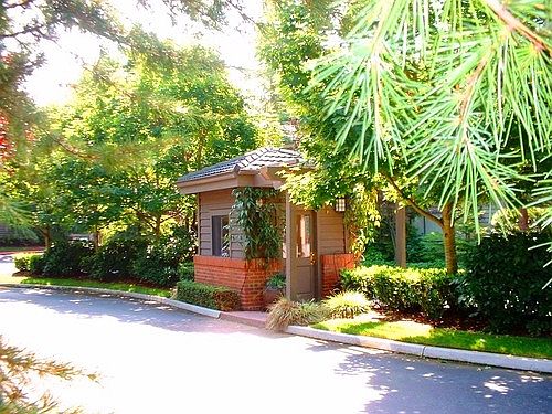1st image of 1388 Bellevue Way NE APT 8