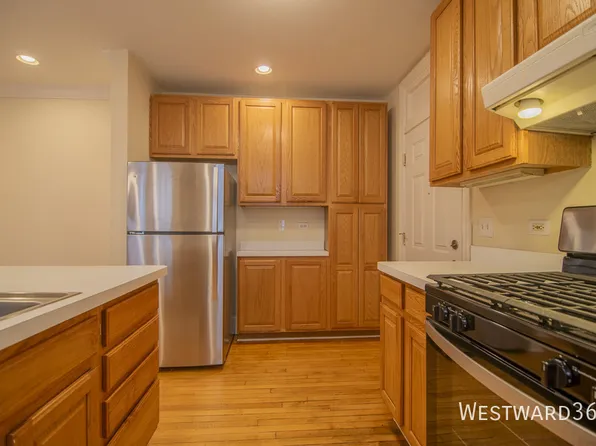7648 N Greenview Ave Unit 3, Chicago, IL 60626