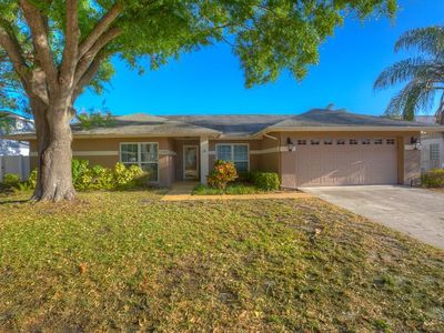 12308 Huckleberry Ct, Riverview, FL, 33569