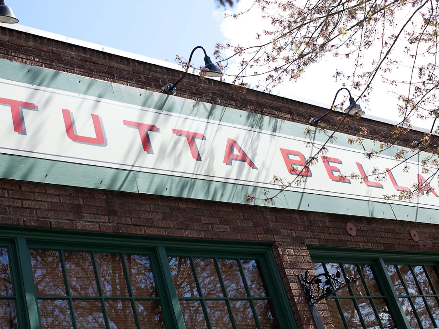 Pax Futura — Photo 3