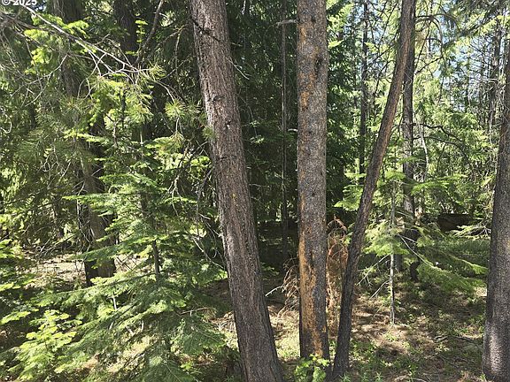 2nd image of 26 Diamond Peak Dr