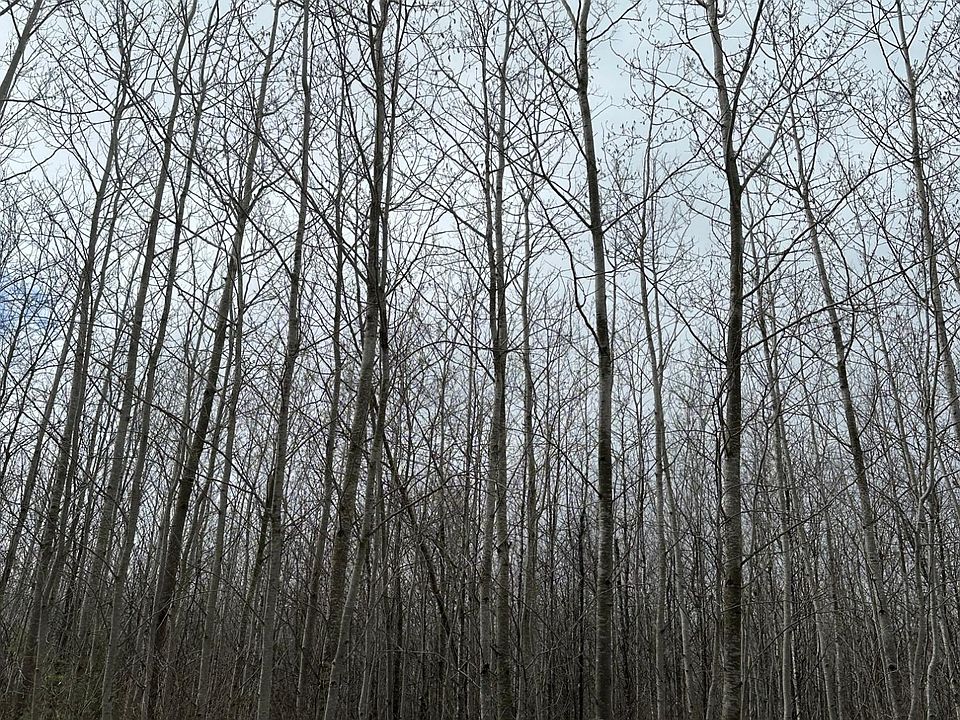 2nd image of Burrows Lake Rd #4067-H