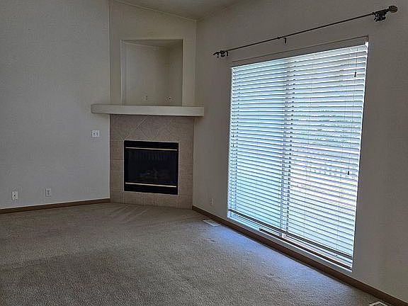 Living Area Fireplace