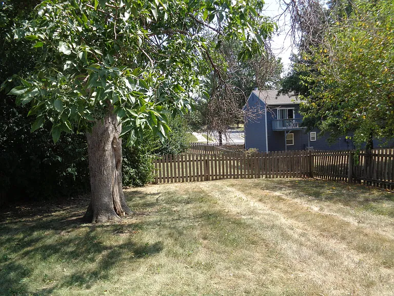 2600 Sunflower St #B — Photo 4
