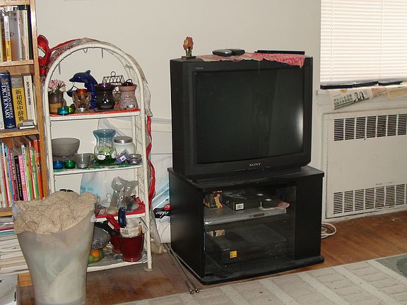 4th image of 485 E Lincoln Ave APT 321