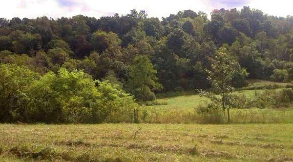 1st image of 36372 Township Road 50