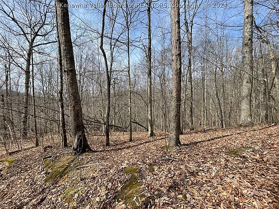 0 Wade Adkins Branch Rd, Kiahsville, WV 25534 | MLS #271568 | Zillow