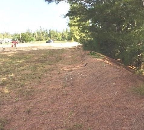 This view is near the edge of the property facing north.  A new home is being constructed just two lots north.