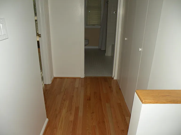704 Bellefonte St #3 — Photo 47