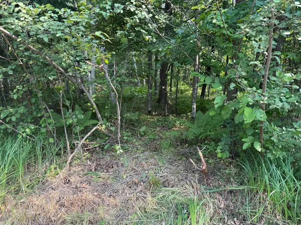 Woodstock Rd, Sturgeon Lake, MN 55783