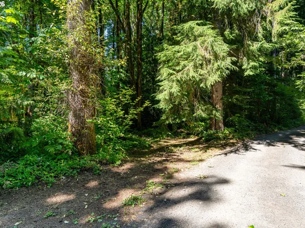 E Zig Zag River Rd #24-26, Rhododendron, OR 97049