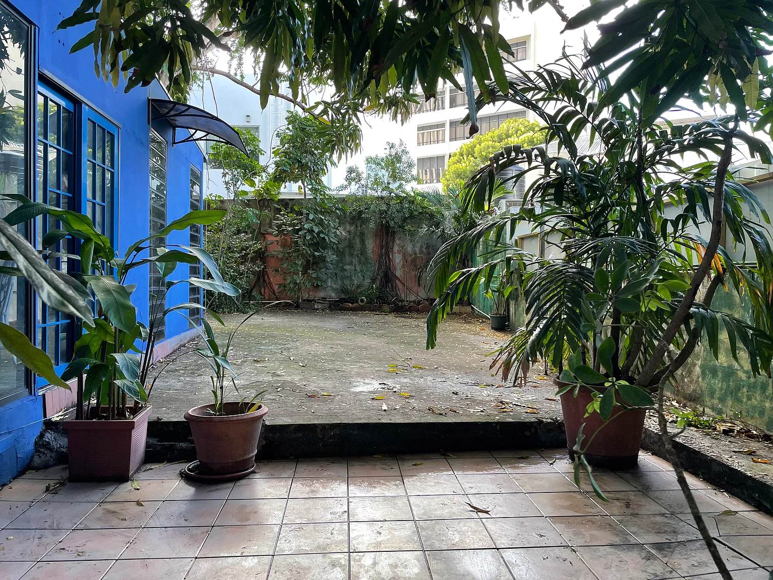 1 bed, 700 sqft, $1,600 — Photo 1